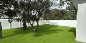 2.2 4344 Backyard View