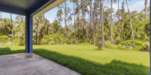 2.2 - 4526 Backyard View